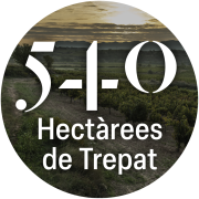 LaCooperativa_02